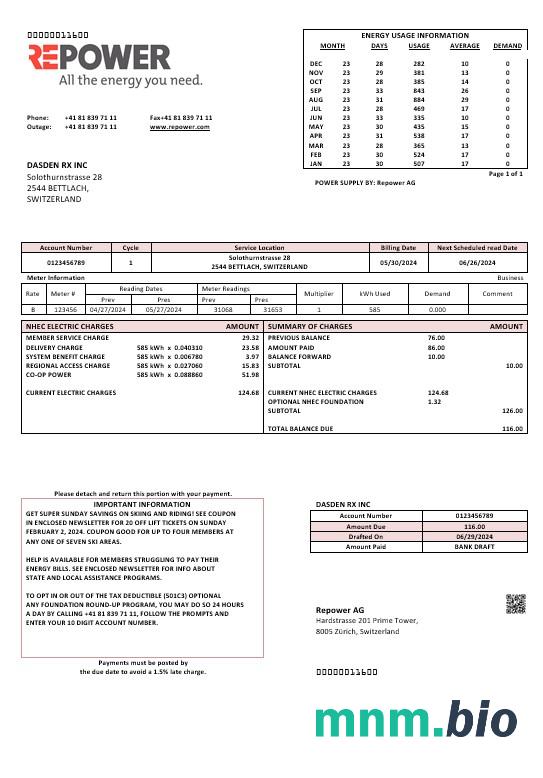 Szablon rachunku za media biznesowe Switzerland Repower AG, w pełni edytowalny w formatach Word i PDF